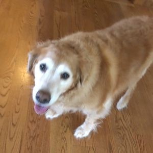 Meet your Posher, Jacquelyn